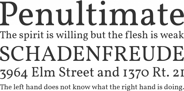 Vollkorn Font Phrases