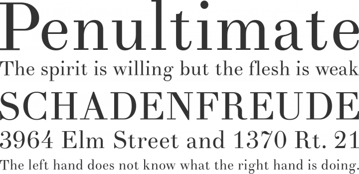 Theano Didot Font Phrases