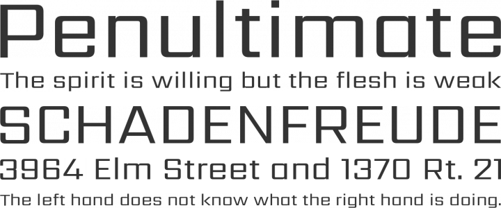 Sarpanch Font Phrases