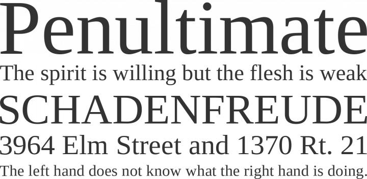 Liberation Serif Font Phrases