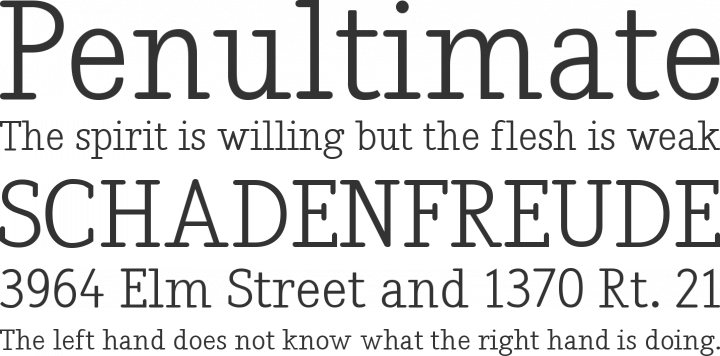 Nadia Serif Font Phrases