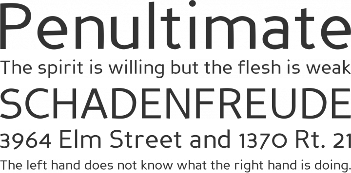 Perspective Sans Font Phrases