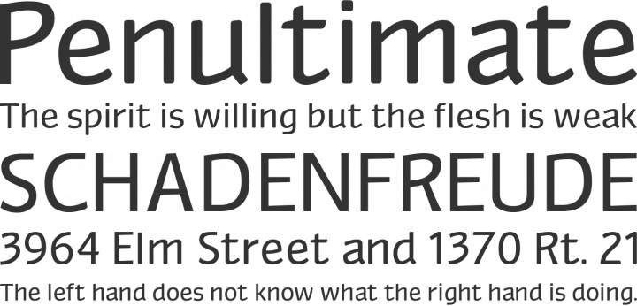 Myndraine Font Phrases