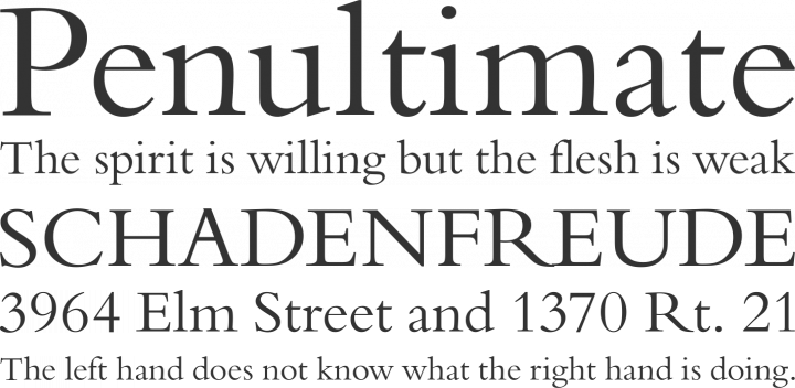 Borgia Pro Font Phrases