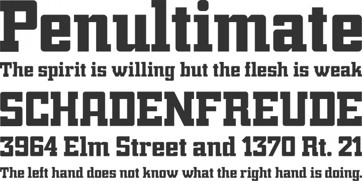 Trump Town Pro Font Phrases