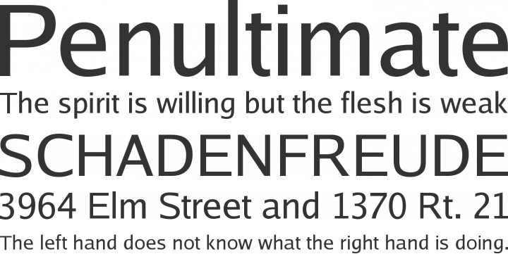Luxi Sans Font Phrases