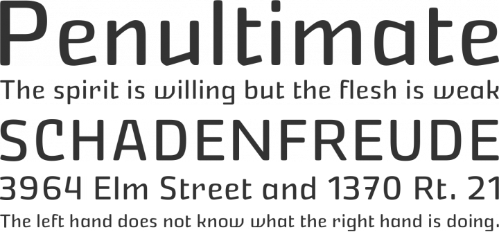 Nikaia Font Phrases
