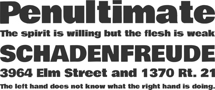 Bowlby One Font Phrases