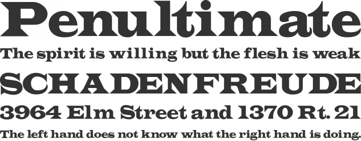 Indubitably Font Phrases