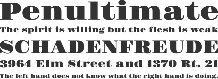 Gravitas One Font Phrases