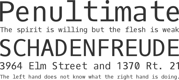 Oxygen Mono Font Phrases