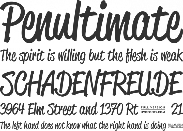 Reklame Script Font Phrases