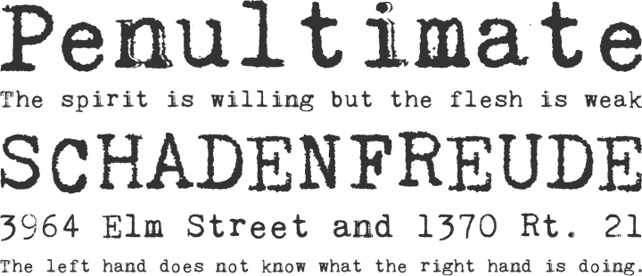 Kingthings Trypewriter Font Phrases